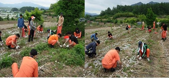 고흥,도양119 봉사활동중